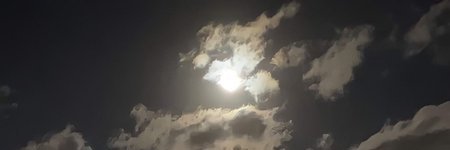 bui nut banner
