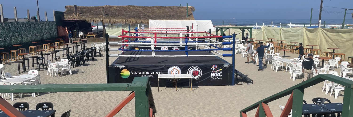 Benjamin - GotGlovesWillTravel banner