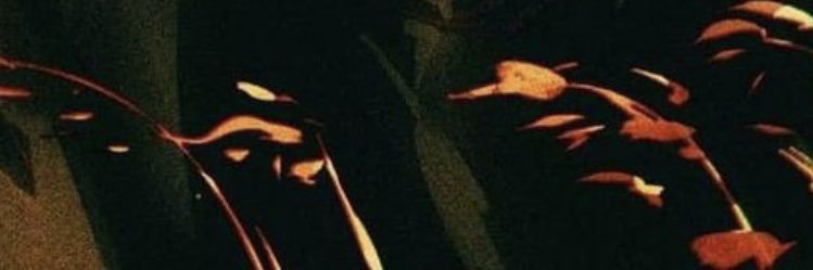 Tojeez's profile banner image