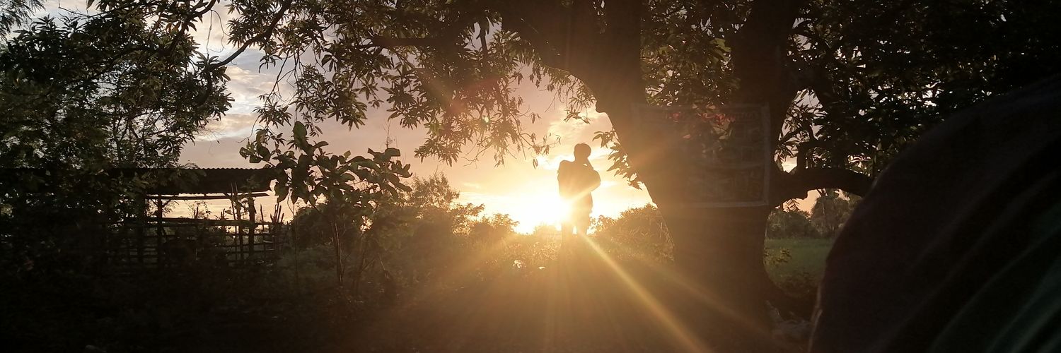 nftpinggg's profile banner image
