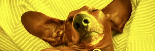 nickersmcf Profile Banner