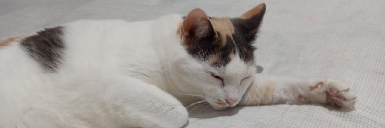 MasterNighty's profile banner image