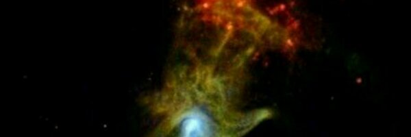 ahmedsuarez Profile Banner