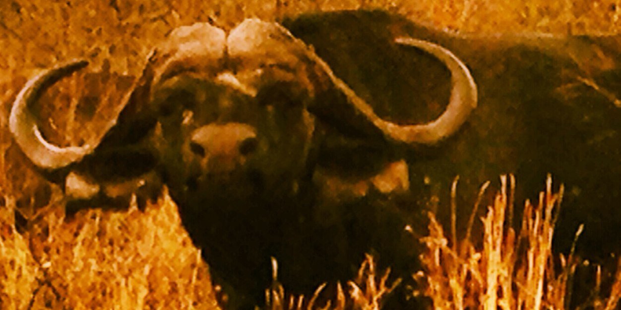 UPNRwarden's profile banner image