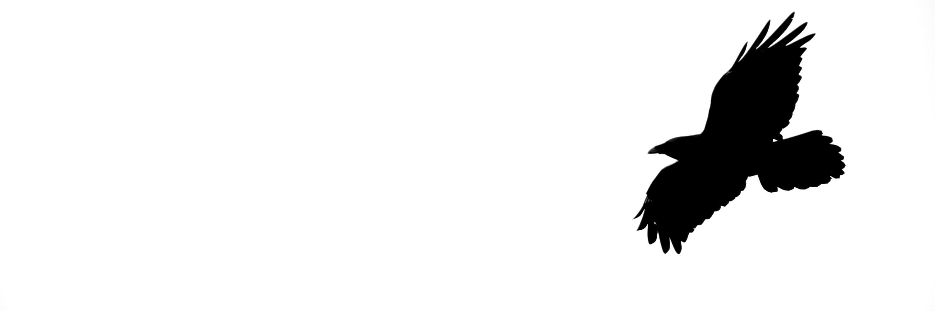 Nitin Bangera, PhD banner