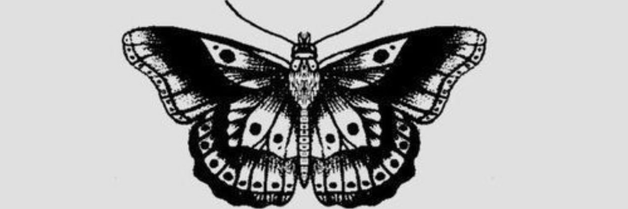 miranda_shaw's profile banner image