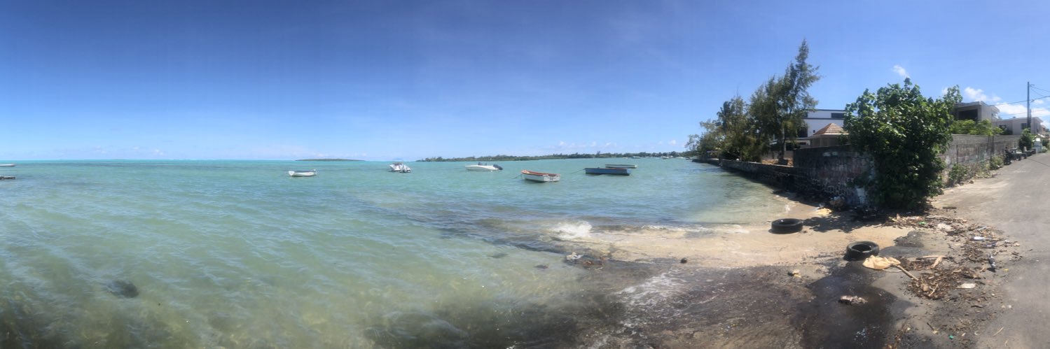 the chad. banner