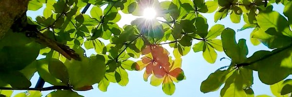 abirspeaks Profile Banner