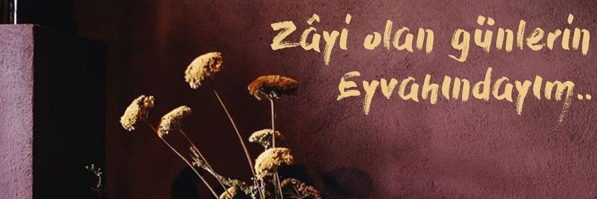 marcelotti9's profile banner image