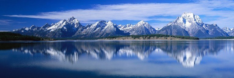 Nick | 🇺🇦 BAYC#4051 banner