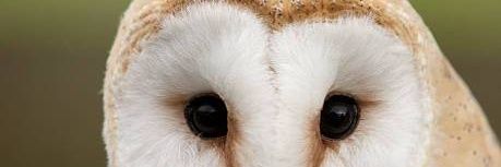 share_Catty's profile banner image