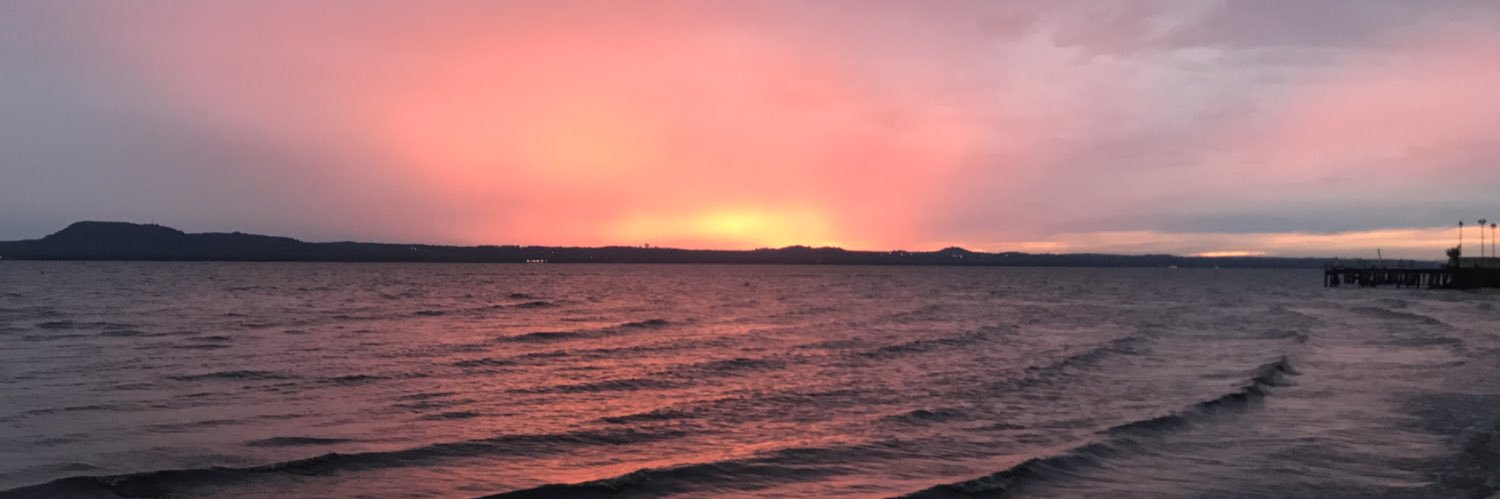 cami__romeroo's profile banner image