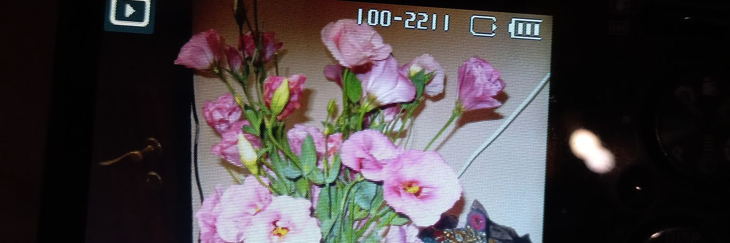chichinasty's profile banner image