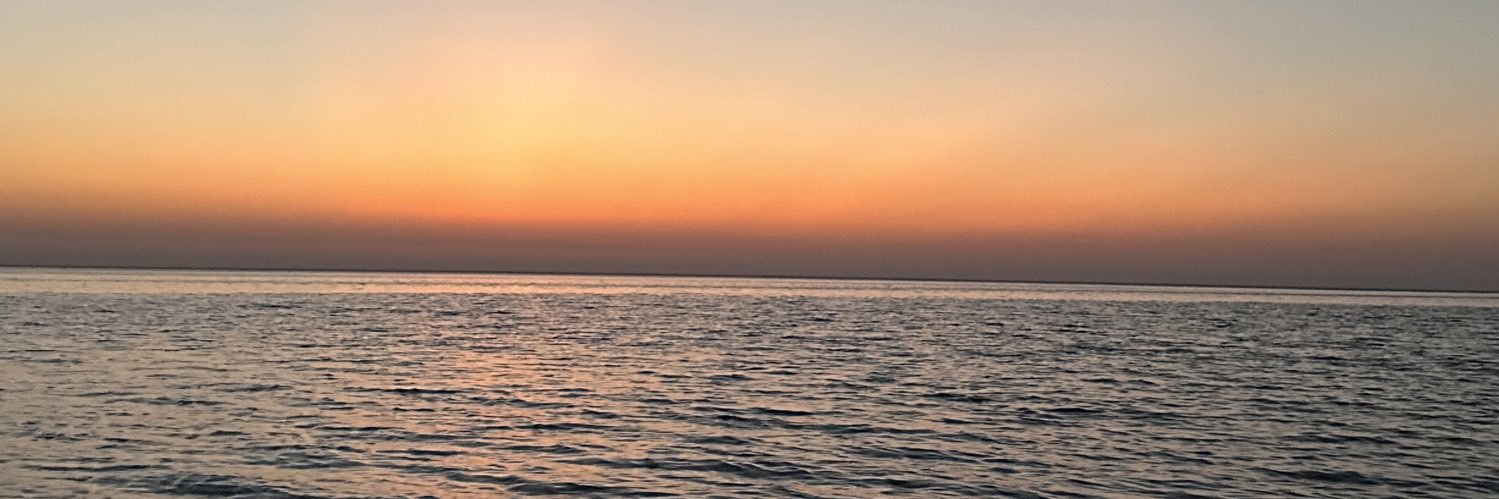 s banner