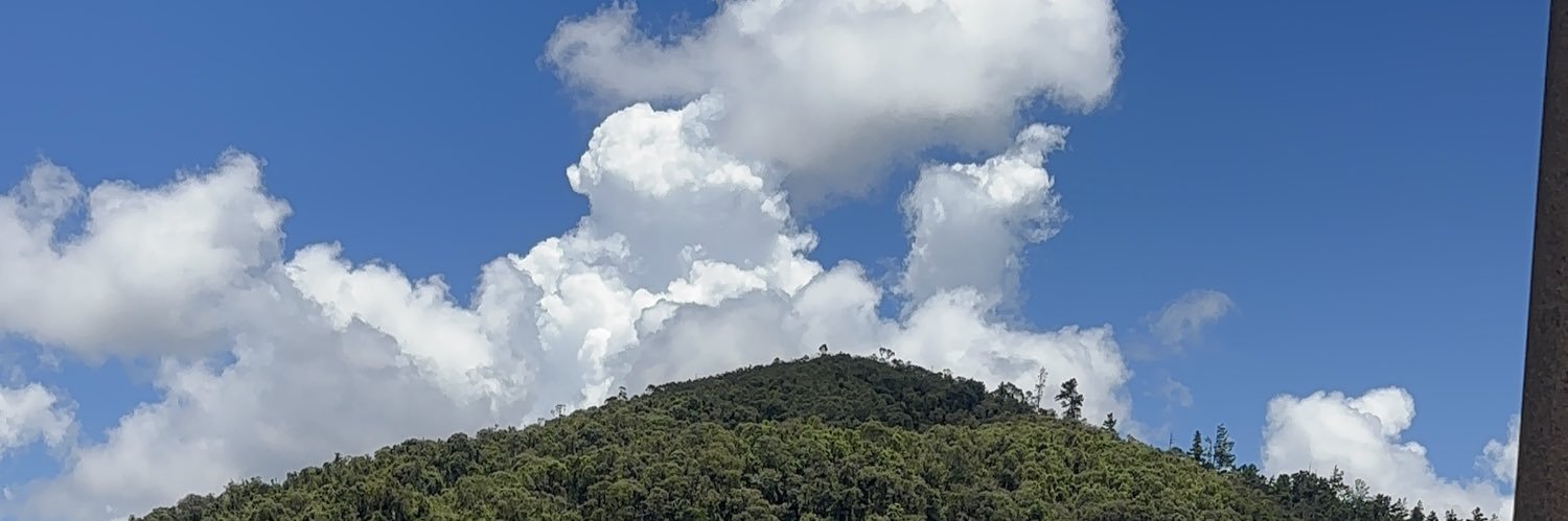 luhpicon's profile banner image