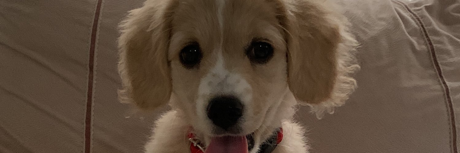 betuull__'s profile banner image