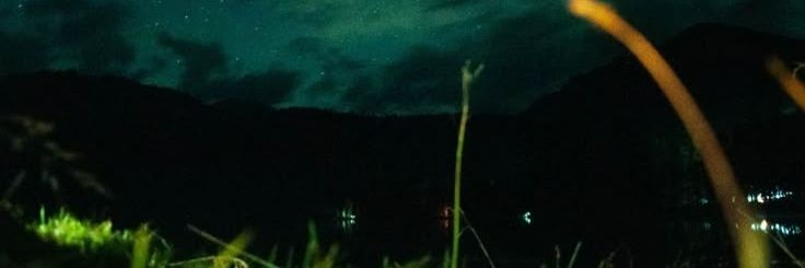 gingerpoto's profile banner image