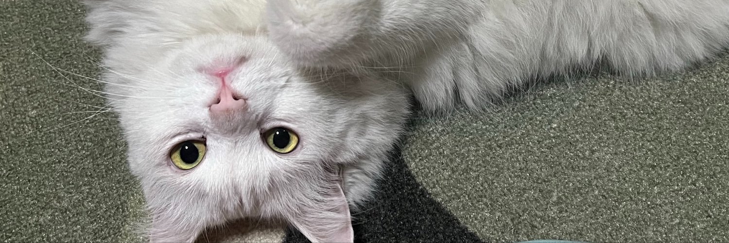 tsaniaanr's profile banner image