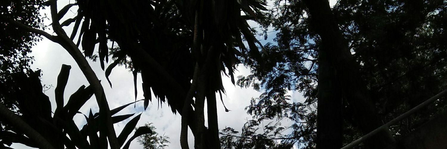 _Kanoti's profile banner image