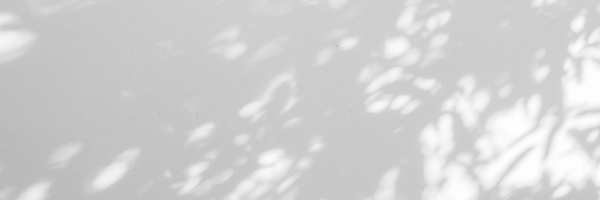 FreshStartsHere Profile Banner