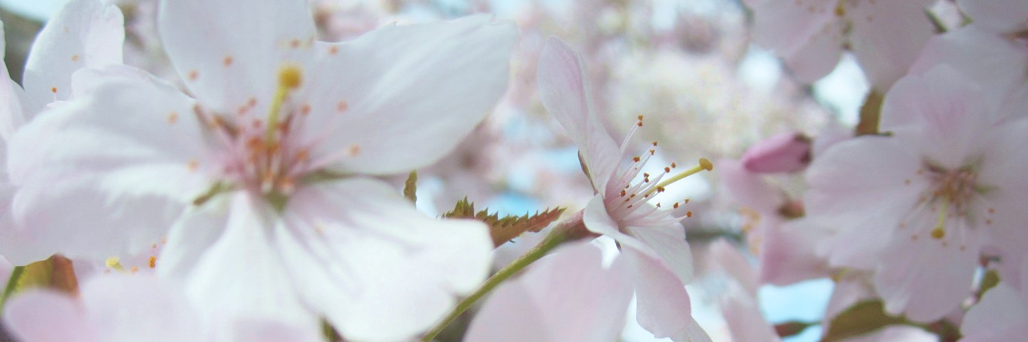 Océane オセアン banner