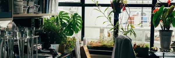 RealMIIDORII_ Profile Banner