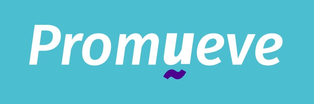 Promueve Ñuñoa banner