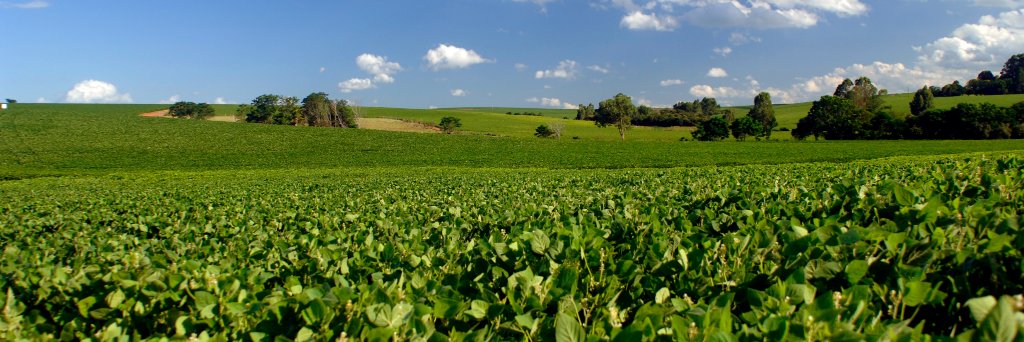 Brett Begemann banner