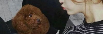 小白船🀄️ banner