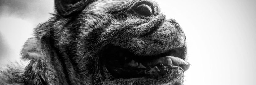 Marcos_gonzo's profile banner image
