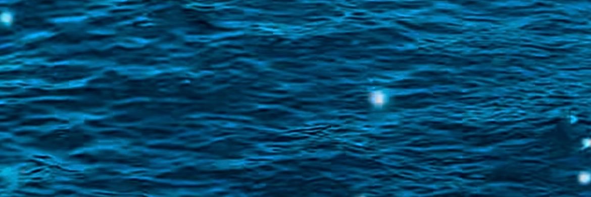 milulefosse's profile banner image