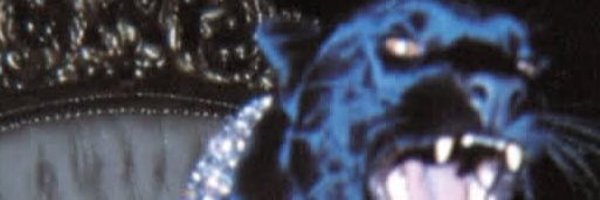 AuroraBlkk Profile Banner
