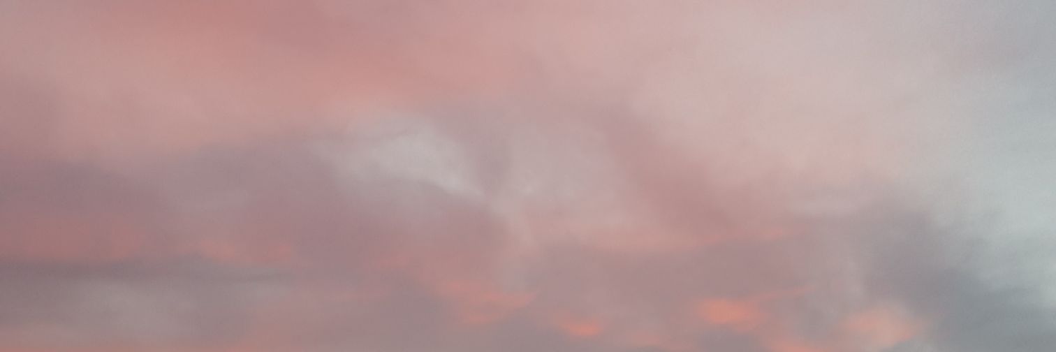 amoura💐 banner
