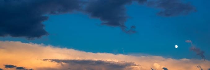 PAIN.💮 banner
