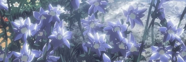 mirukubot's profile banner image