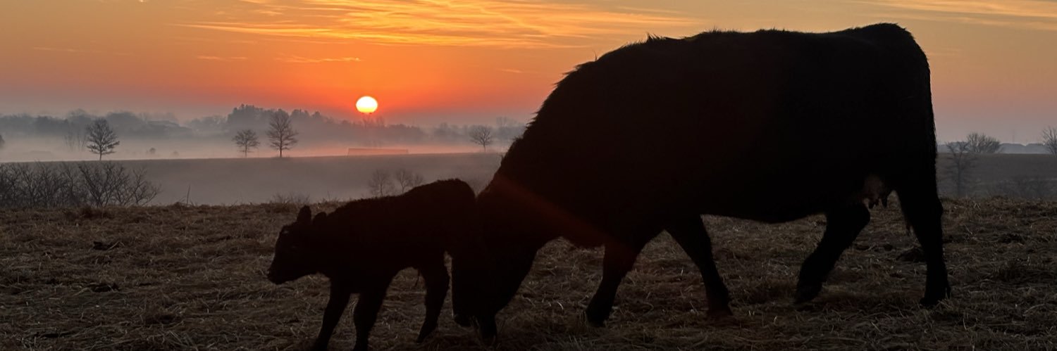 Mike Lauterbach banner