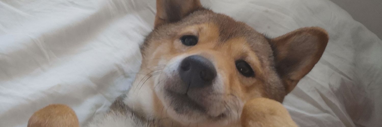 Kayuuelbee's profile banner image