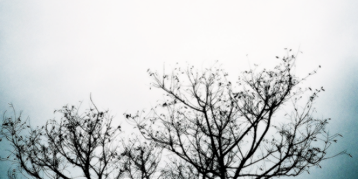 specialmalik's profile banner image