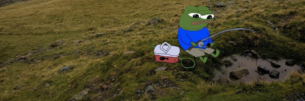 Rarest of pepes banner