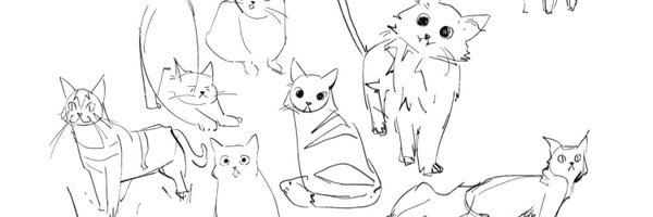 stepsdays Profile Banner