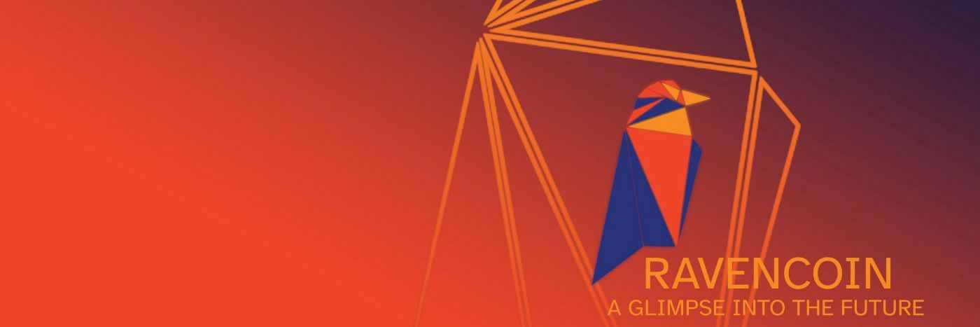 CryptoNoob🅁🅅🄽 𓄿 banner