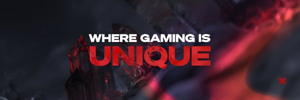XBorgHQ Profile Banner