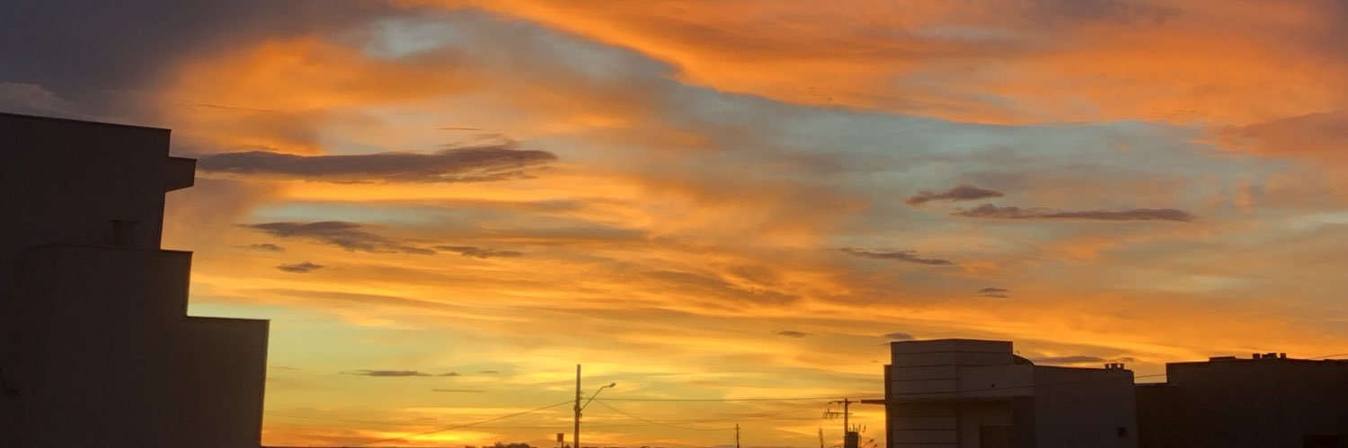 Thalita Araújo banner