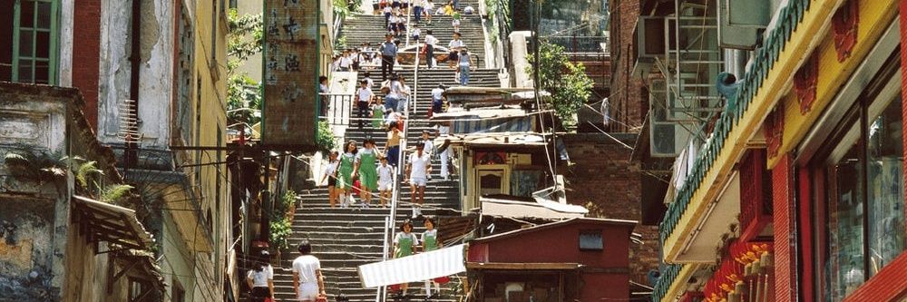 длинноногая газель banner