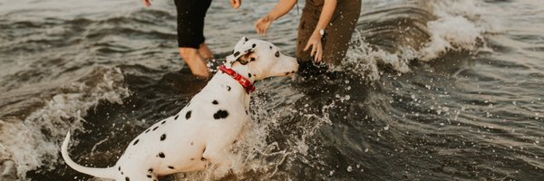 kerrigiven Profile Banner