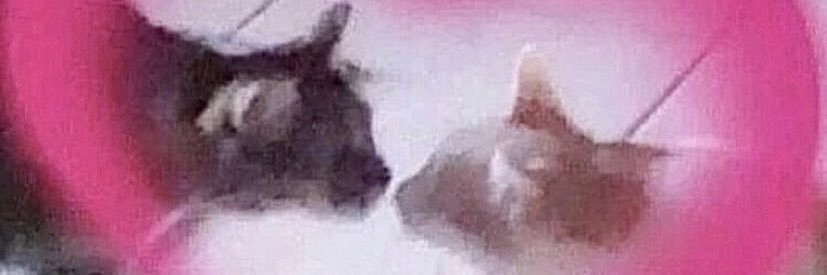 anonlovesong's profile banner image
