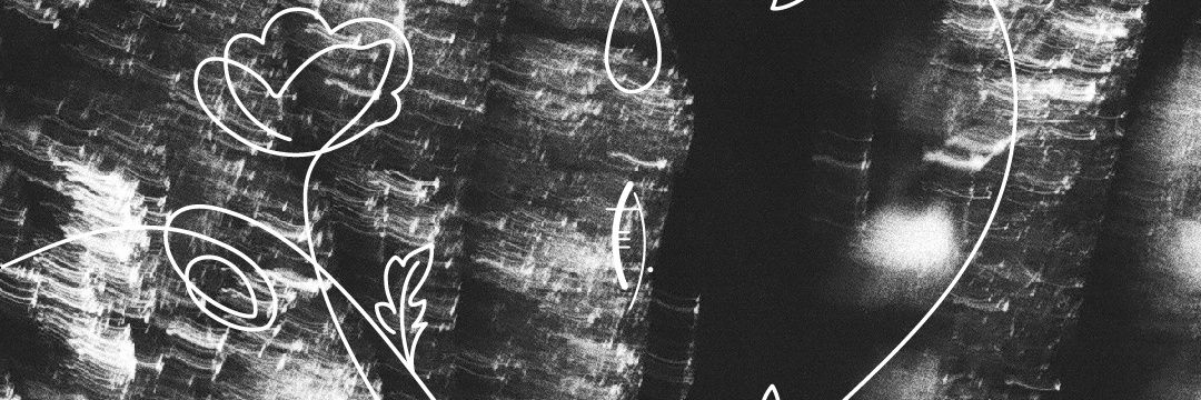 annevskva's profile banner image