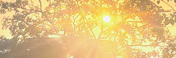 appeepawarbhoir Profile Banner