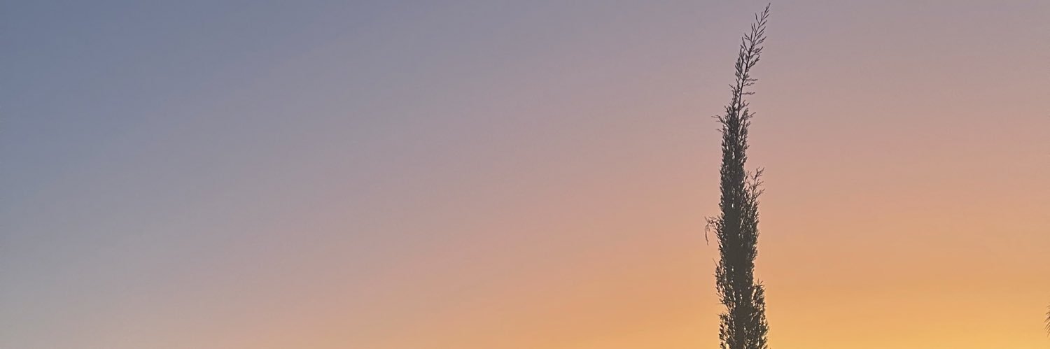 Joyceluzzz's profile banner image