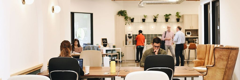 Hildegard College banner